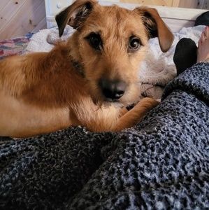 Meet your Posher, Cheryl